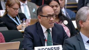 Indonesia Minta Komunitas Internasional Tindak Tegas Israel dalam Debat Dewan HAM PBB