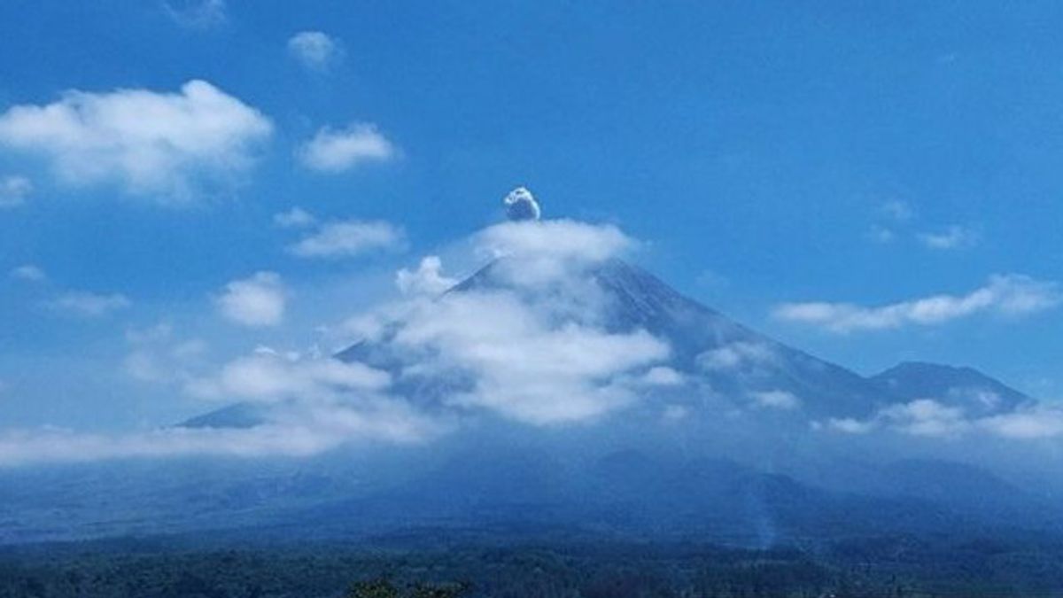 L'éruption naturelle du mont Semeru est observée 11 fois