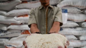 Harga Beras Naik Serentak di Maret 2025, Premium Tembus Rp13.207 per Kg