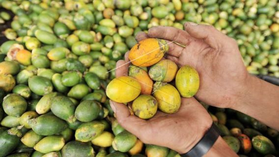 Beberapa Minuman Khas Jambi dengan Rasa Unik 