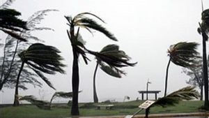 Strong Winds And Heavy Rain Decide Electricity In Mukomuko, Residents Asked To Be Alert