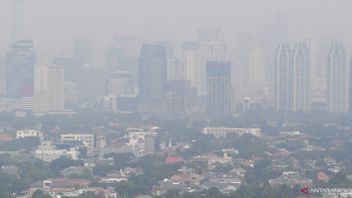 Mati Muda Akibat Polusi Udara Bukan Mengada-ada