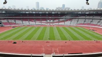 PSSI Please SUGBK Grass Is Ready For The Indonesia Vs Australia National Team Match