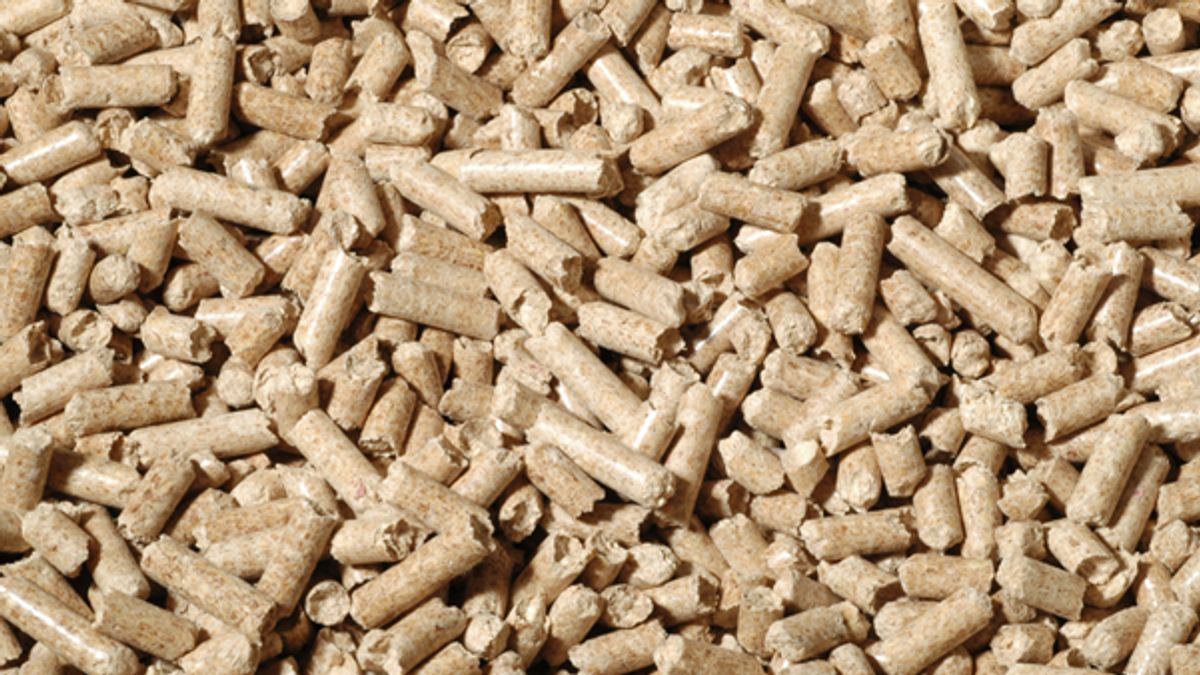 Wood Pellet: 'Giant Wood Butir' For Your Energy, Cat And Kitchen Sources!