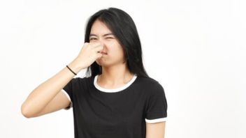 Une étude affirme que l'odeur des flatulences peut aider à maintenir la santé du cerveau