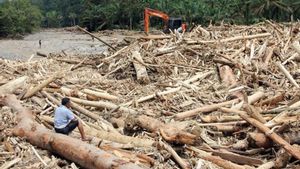 Penyebab Banjir Bandang Sumatra: Mulai dari Curah Hujan hingga Kerusakan Lingkungan