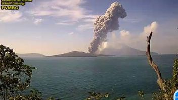 Mount Anak Krakatau Sprays Abu As High As 3 Kilometers