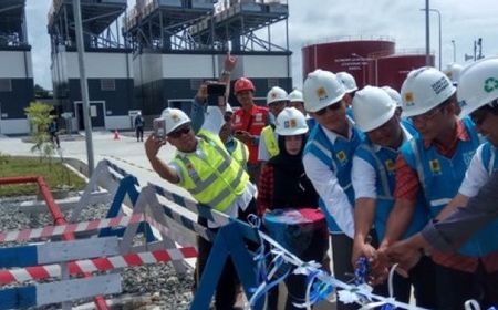 Komisi VII DPR Minta Pihak Terkait Kelola Surplus Energi di PLTMG Holtekamp 50MW Jayapura dengan Bijak