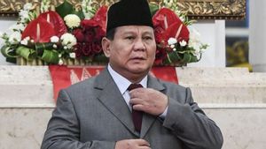 LPEM UI: Prabowo-Gibran Government Needs To Strengthen Law Enforcement Related To Tax Revenue