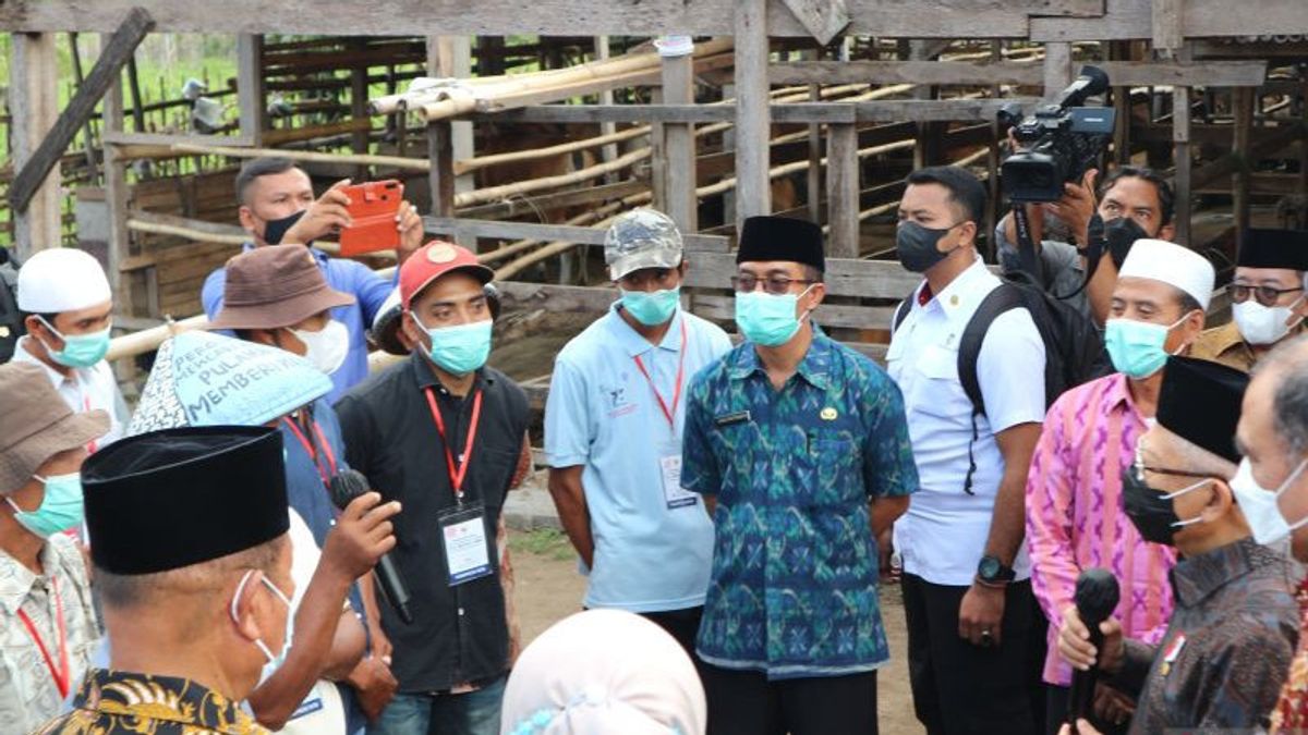 副总统马鲁夫·阿敏·万蒂-万蒂（Ma'ruf Amin Wanti-wanti）向农副官员提出，不要让感染口蹄疫的奶牛成为牺牲品