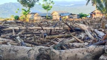Wood Materials Fill Settlements, Thousands Of Residents Affected By Floods In Balinggi Parigi Moutong