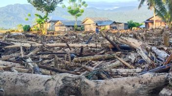 Material Kayu Penuhi Permukiman, Ribuan Warga Terdampak Banjir di Balinggi Parigi Moutong