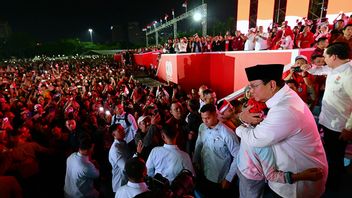 莫纳斯联合嘉年华的存在发展信息