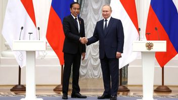 プーチン大統領がジョコウィ大統領に電話:ロシアはインドネシアの建設的で非政治化された大統領職を高く評価している