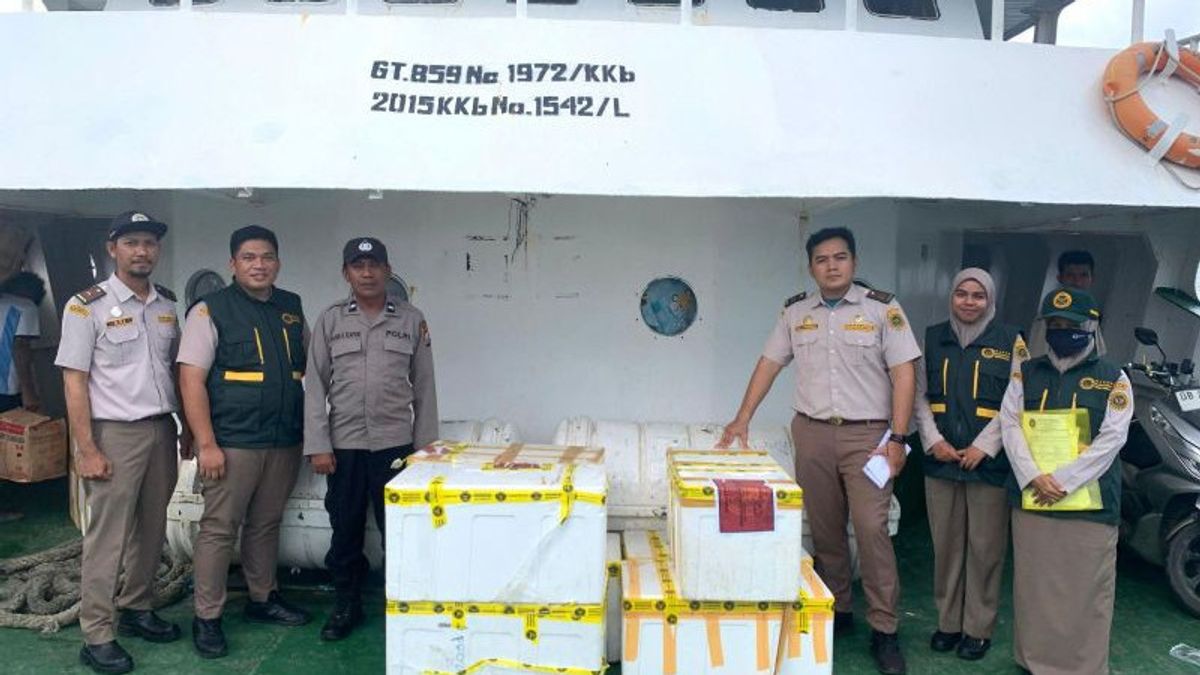 19,80 kg de porc de Manado envoyé au Ternate a été arrêté par les agents parce qu’ils ne portait pas de documents
