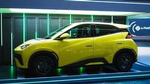 Punya 2 Varian, Ini Perbedaan BYD Atto Varian Dynamic dan Premium