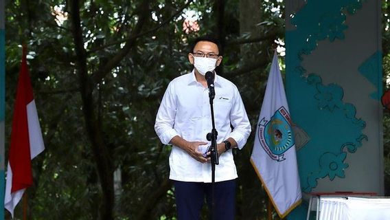 Karier Politik Ahok Dianggap Tak Mulus Lagi, Butuh Bantuan Tokoh Lain