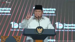 Soroti Ruwetnya Anak-Cucu BUMN, Prabowo Minta Danantara Diawasi Total