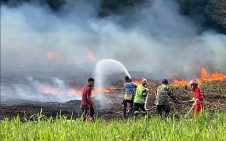 Lagi-lagi Kabut Asap Jadikan Sekolah di Palangka Raya Kalteng Terapkan Belajar Daring