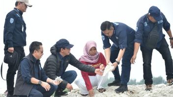 KLH: Tak Ada Dokumen Lingkungan, Pengerukan Pasir di Pulau Pari Ilegal