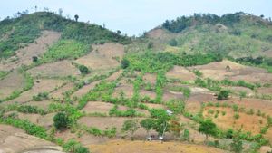 PT Sinar Kalbar Raya Tuntut Keadilan karena Luas Pemanfaatan Kawasan Hutan Dikurangi