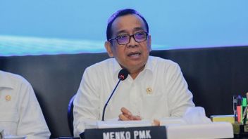 Pemerintah Klaim Progres Pemulihan Pascabencana Signifikan