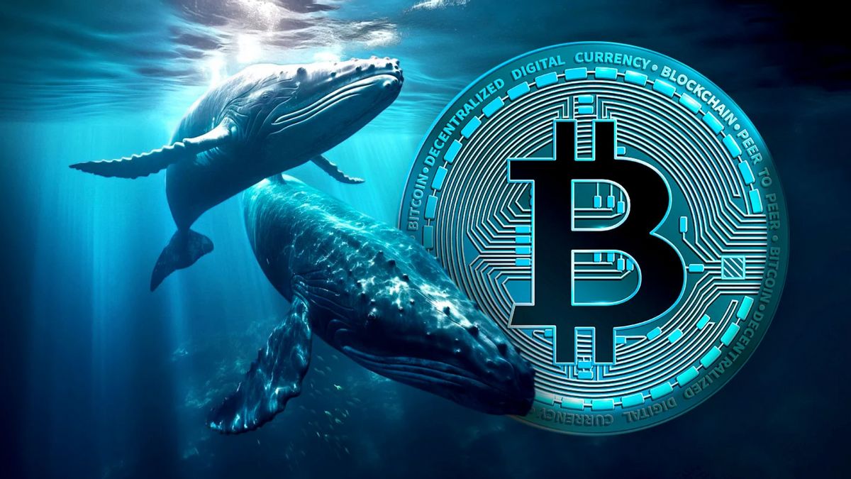 Whales transfère 1,9 million de BTC vers des portefeuilles cryptographiques depuis le début de 2024