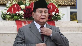 普拉博沃的故事提拔了Pertamina的首席执行官，并要求Pertamina的身体中的Bobrok