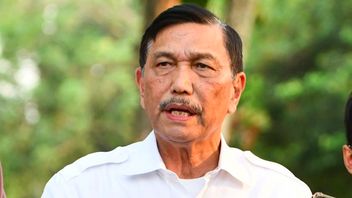 Luhut Assigned By Jokowi To Overcome The Cooking Oil Problem, Yan Harahap: It's Him Again, Is He Superman?