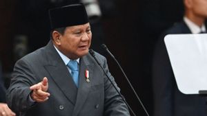 Prabowo Targetkan 10 Tahun ke Depan Listrik di RI 100 Persen Bersumber dari EBT