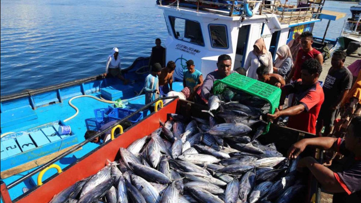 بريطانيا مستعدة لمساعدة إندونيسيا على زيادة أسطول سفن صيد الأسماك