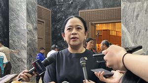 Marak Kasus Keracunan Massal, Puan Minta Program MBG Dievaluasi