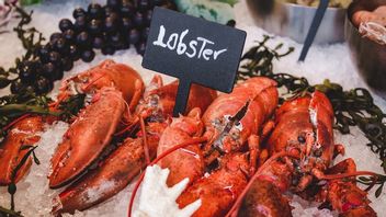 How Can Lobster Rise From The Poor's Food To A Luxury Dish?