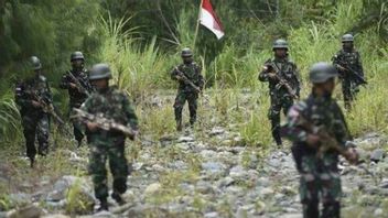 1 Soldier Shot Dead By KKB, Papuan Police Chief Asks TNI-Polri In Puncak Siaga Regency