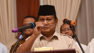 Prabowo Terima 12 CEO Perusahaan Besar di AS, dari OpenAI hingga Pemilik Chelsea