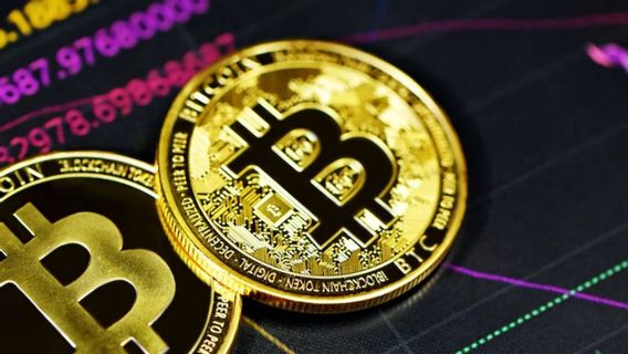 Harga BTC Rontok, Perusahaan Penambangan Bitcoin Pontang-Panting!