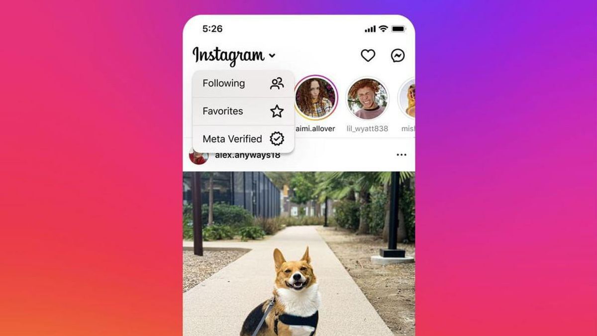 Instagram Trials Verified Account Special Feed View