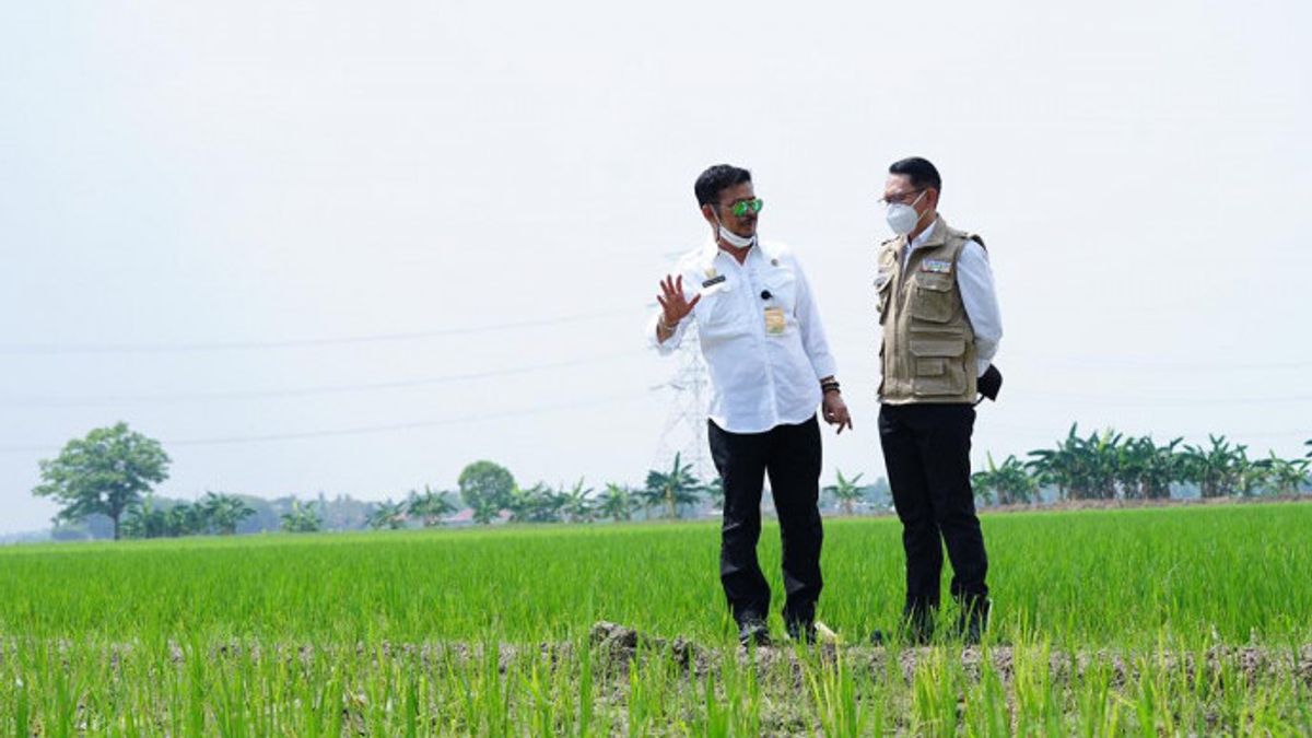 Le Ministre De L’Agriculture Syahrul Yasin Limpo Encourage Karawang à Devenir Un Modèle Agricole Capable De Récolter 3 Fois Par An