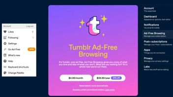 Tumblr تطلق نسخة خالية من ال الإعلانية في رسوم الاشتراك مكلفة