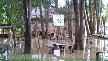 Batanghari River Overflows In Alert Status, 5 Areas In Jambi Reportedly Submerged By Floods