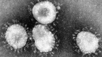 Terus Bertambah, Korban Meninggal Virus Corona di China Sudah Mencapai 106 Jiwa