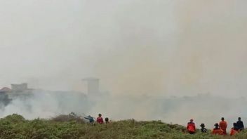BPBD HSSカルセルタンガニ141ヘクタールの森林火災と陸上火災の影響を受けた土地