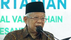 Wapres Ma'ruf Amin Ingatkan Ketahanan Pangan Penting untuk Indonesia