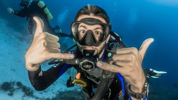 How Long Should We Take Diving Courses To Be Independent?