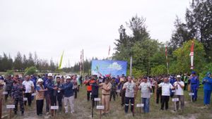 PT Timah Lakukan Penanaman 5.000 Bibit Mangrove Bersama Ikebana Bangka 