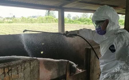 Tekan Angka Antraks di Gunungkidul, DPKH Lakukan Desinfeksi dan Ambil Sampel Tanah Kuburan