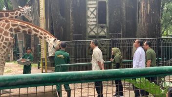Giving The Name Of An Animal In Ragunan It Turns Out That It Is A Tradition From The Governor Of DKI