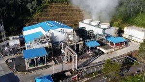 Direktur Panas Bumi Kementerian ESDM Jadi Komut Pertamina Geothermal Energy