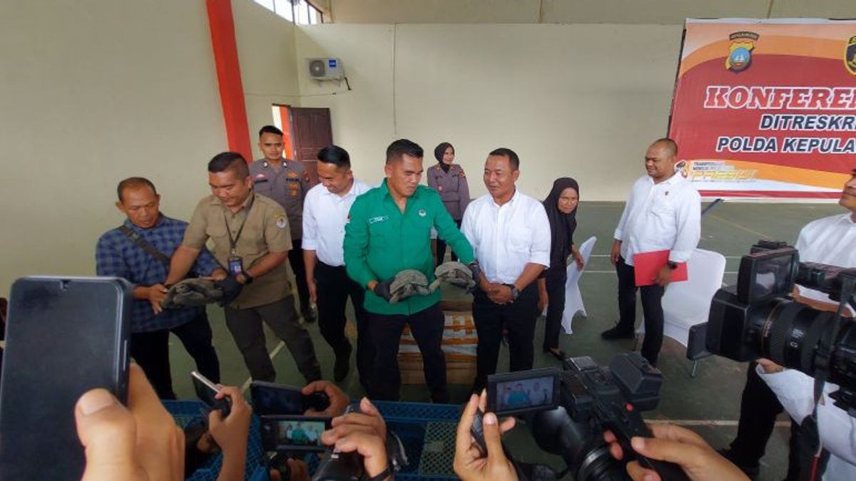 Polda Kepri Gagalkan Penyeludupan Kura-kura Baning Cokelat ke Singapura