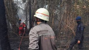 Polda Kepri Selidiki Penyebab Karhutla di Sejumlah Wilayah